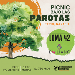 PICNIC BAJO LAS PAROTAS